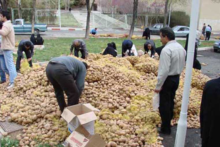 هزینه های مالی رسیدن به کرسی سبز مجلس