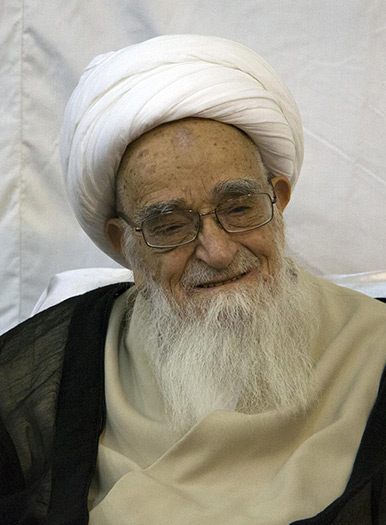 زندگینامه لطف الله صافی گلپایگانی